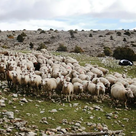 Rurales Las Carcavas * Albarracin